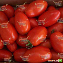 UG Red F1 / Юджі Ред F1