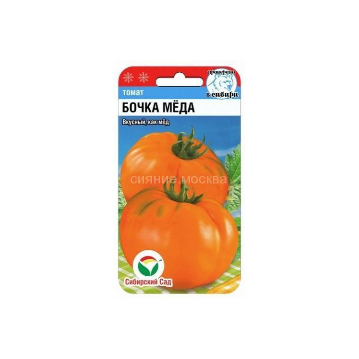 Бачка