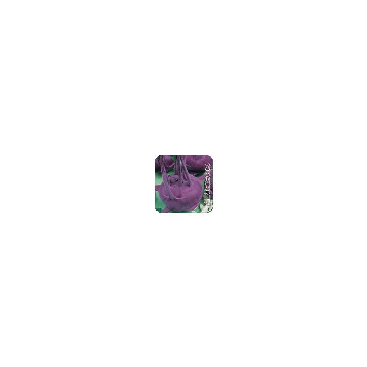 ФЕЯ