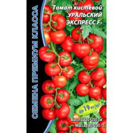Express F1 / Експрес F1