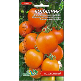 Колядник