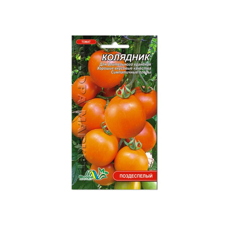 Колядник
