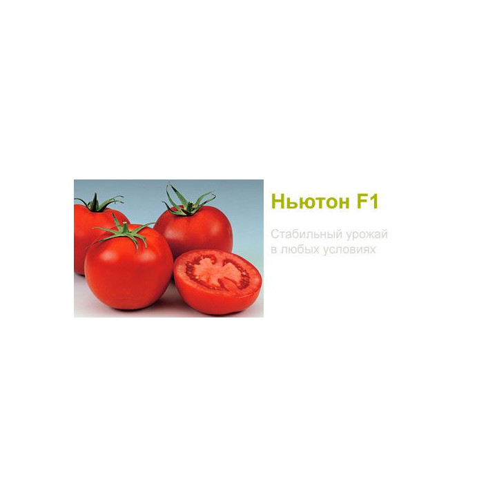 Newton F1 / Ньютон F1