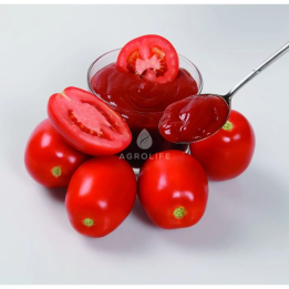 Perfect MC3 F1 / Перфект МС3 F1