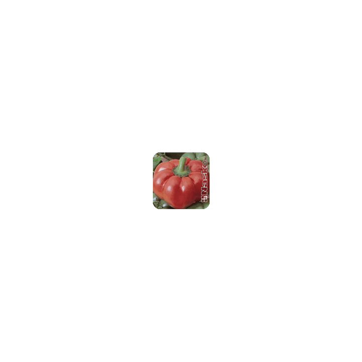 СКИФ