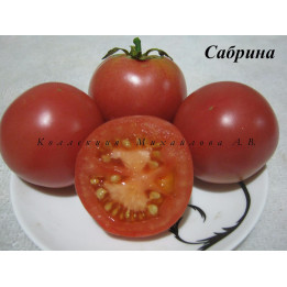Savoryna / Саворина