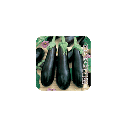 ПАРИС