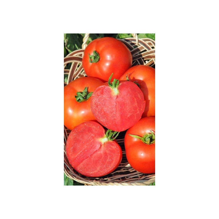 Союз 8 F1