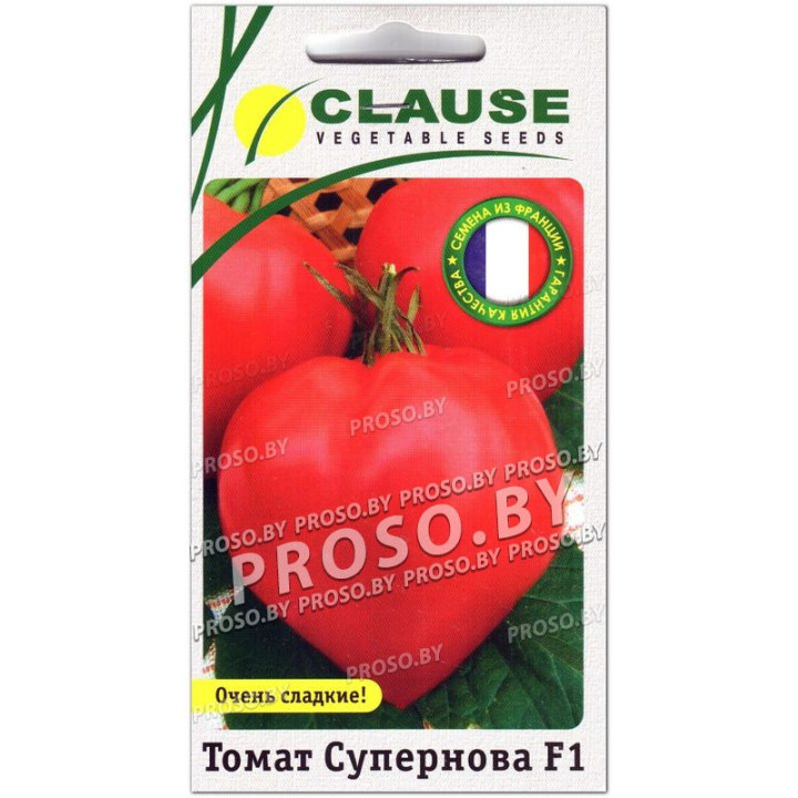 Supernova F1 / Супернова F1