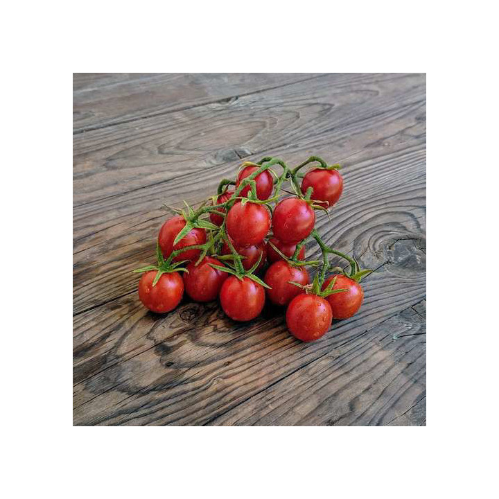 Траян