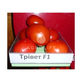 Trivet F1 / Трівет F1