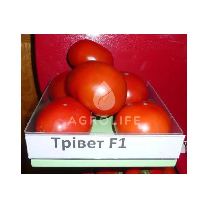 Trivet F1 / Трівет F1