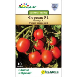 Forsag F1 / Форсаж F1