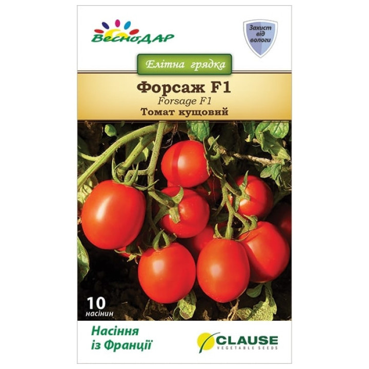 Forsag F1 / Форсаж F1