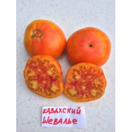 Шевальє F1