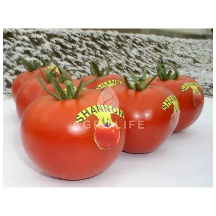 Shanon F1 / Шенон F1