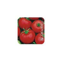 МУЗА F1