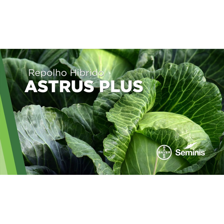 Astrus Plus / Аструс Плюс