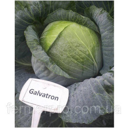 Galvatron / Галватрон