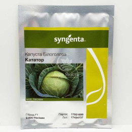 KATATOR / КАТАТОР