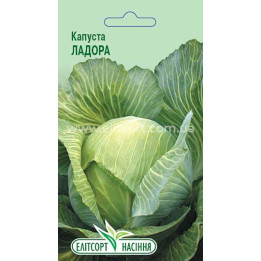 Ladora / Ладора