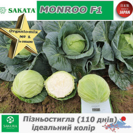 Monroo / Монро