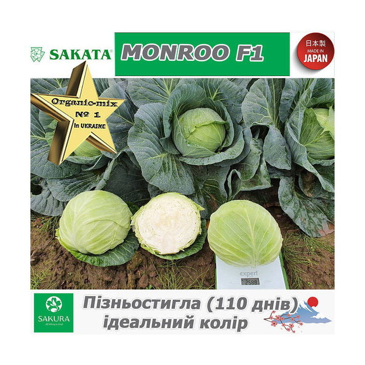 Monroo / Монро