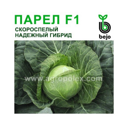 Парел F1