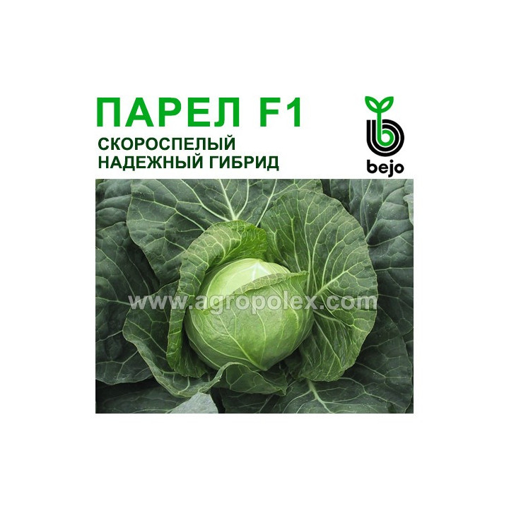 Парел F1