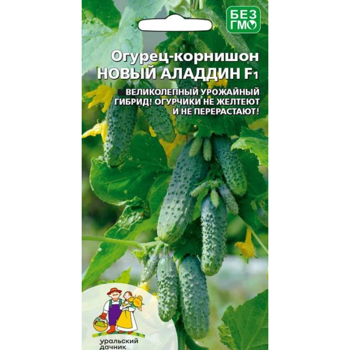 Алладин F1 / Алладін F1