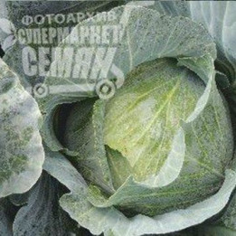Джеді Грін