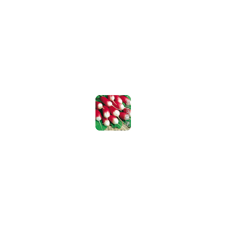 ПИКНИК