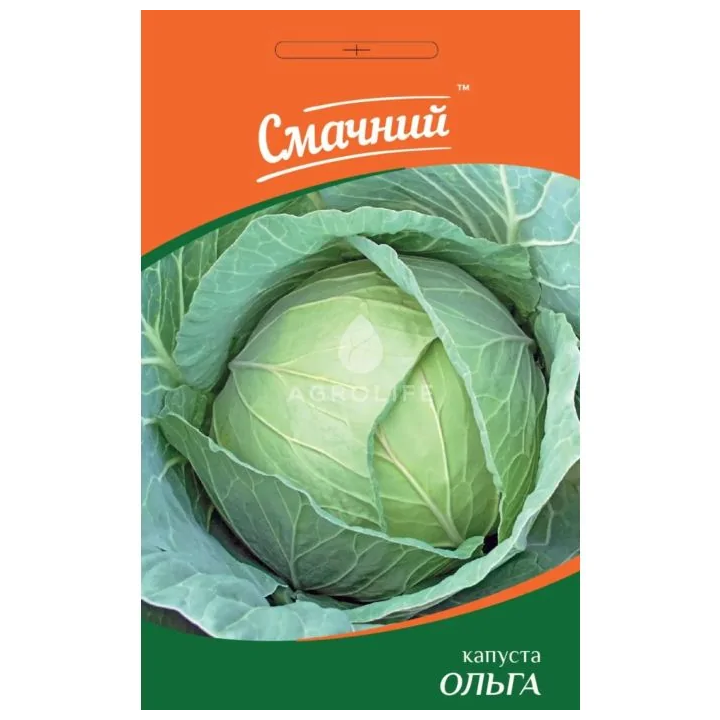 /Ольга/ / Ольга