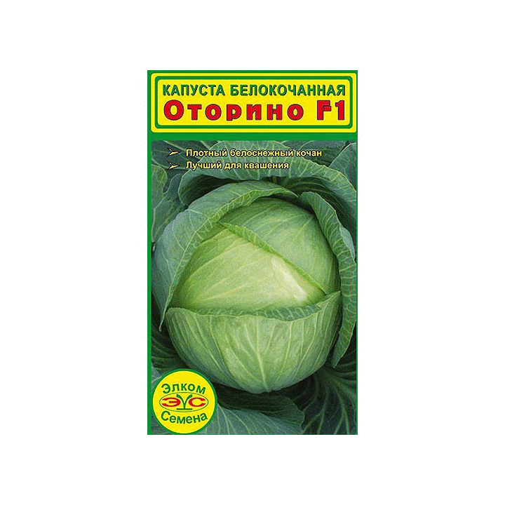 Otorino F1 / Оторіно F1