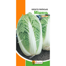 Mishel / Мішель