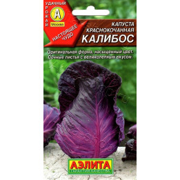Kalibos / Калібос