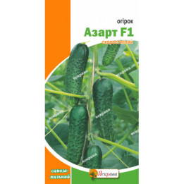 Азарт F1