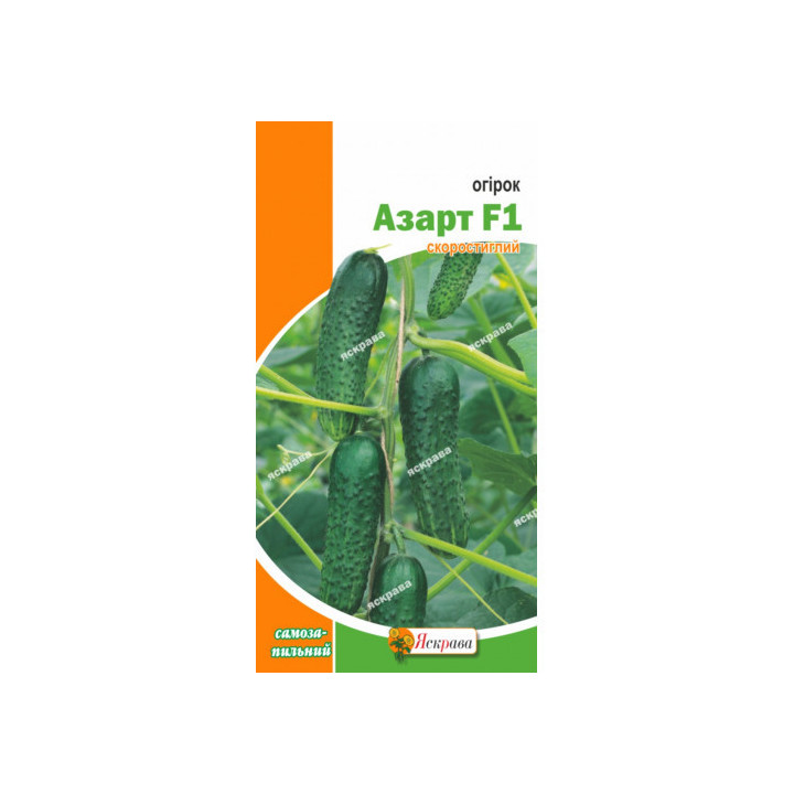 Азарт F1