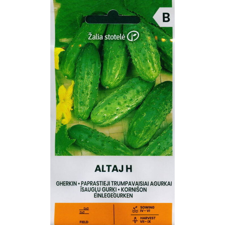 Altaj / Алтай