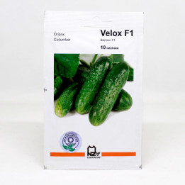 Velox / Велокс