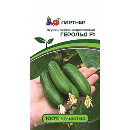 Grandor / Грандор