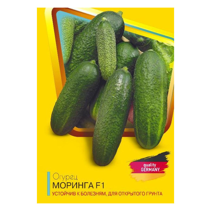 Moringa F1 / Морінга F1