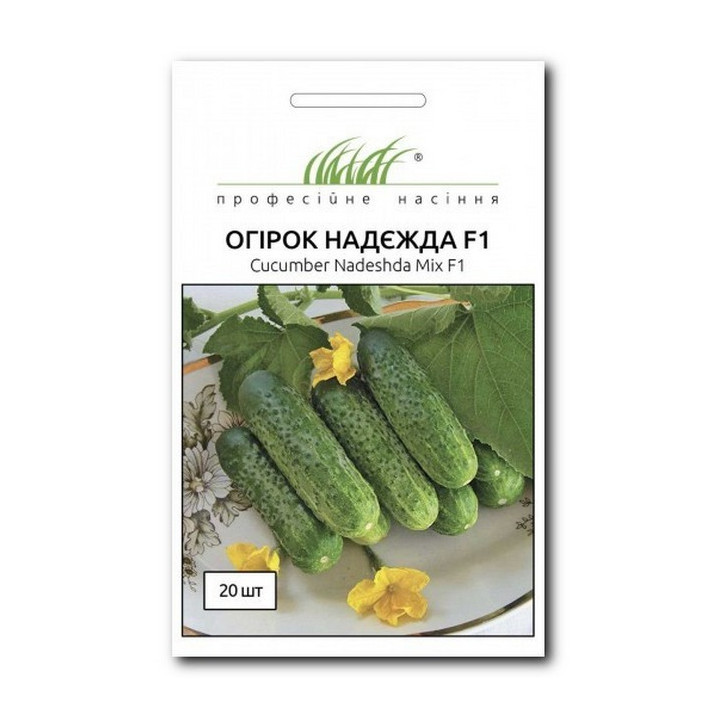 Nadezhda F1 / Надежда F1