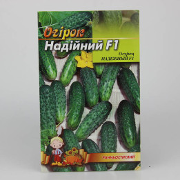Надійний F1