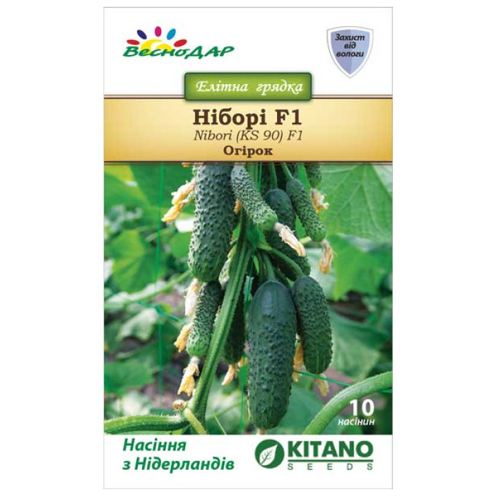 Nibori / Ніборі