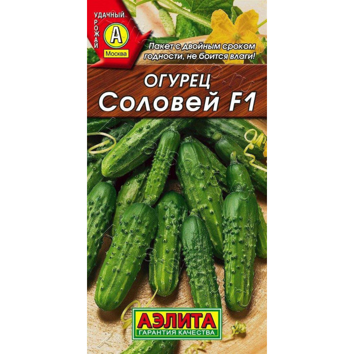 Соловейко