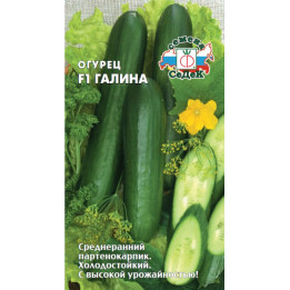 Galina F1 / Галина F1