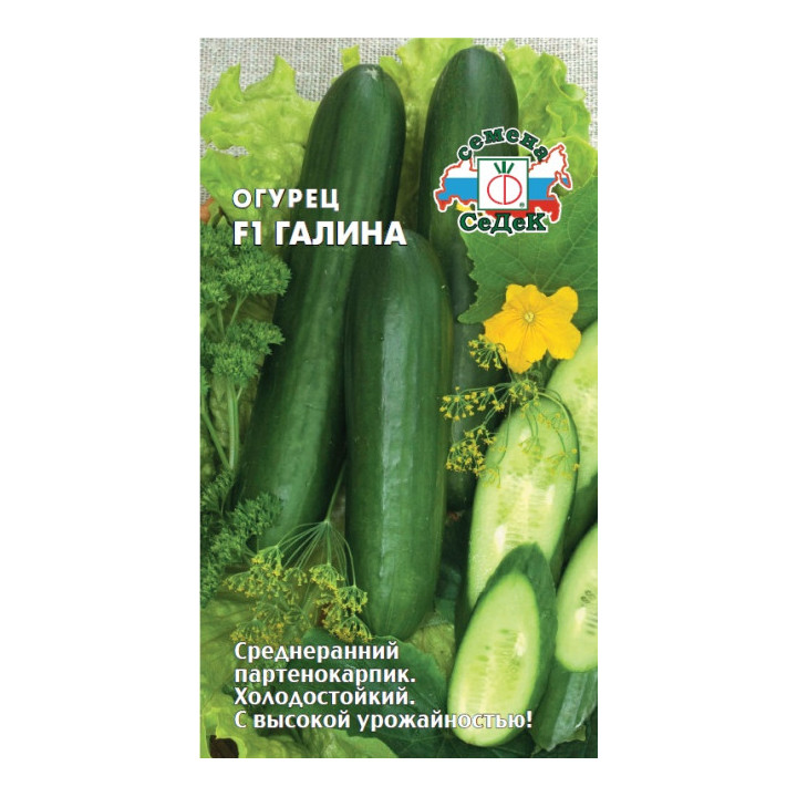 Galina F1 / Галина F1