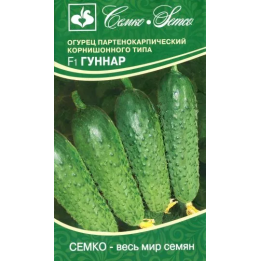 Gunesh F1 / Гунеш F1