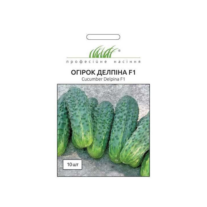 Delpina / Делпіна